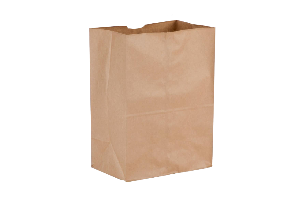 20W/F PAPER BAG