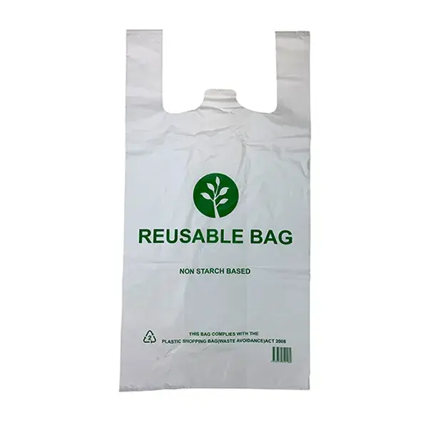 RE-USABLE PLASTIC CARRY BAG EX-LARGE
