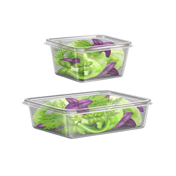PLASTIC RECTANGULAR CONTAINER- 750ML