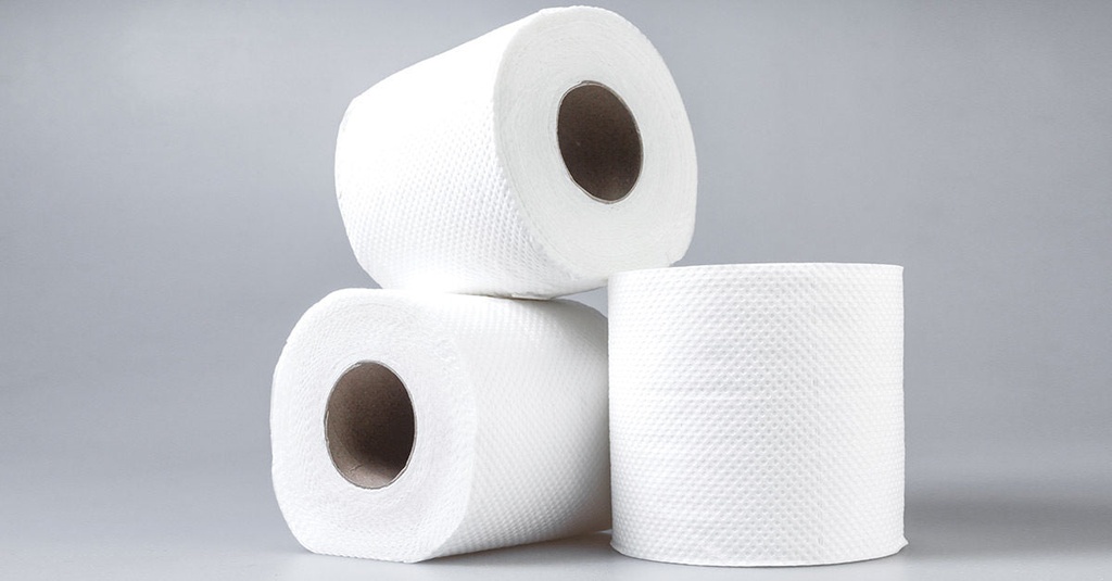 TOILET PAPER ROLL 2PLY 400SHEET